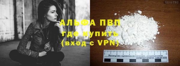 PSILOCYBIN Верея