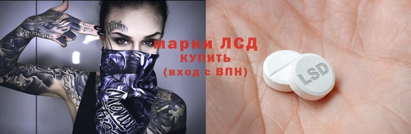 PSILOCYBIN Верея