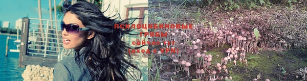 кокс Осинники