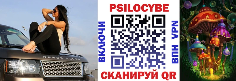 Галлюциногенные грибы Cubensis  закладка  Камешково 